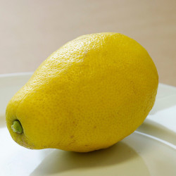 Citrus limon "ZAGARA BIANCA" (L.)