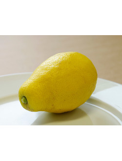 Citrus limon "ZAGARA BIANCA" (L.)