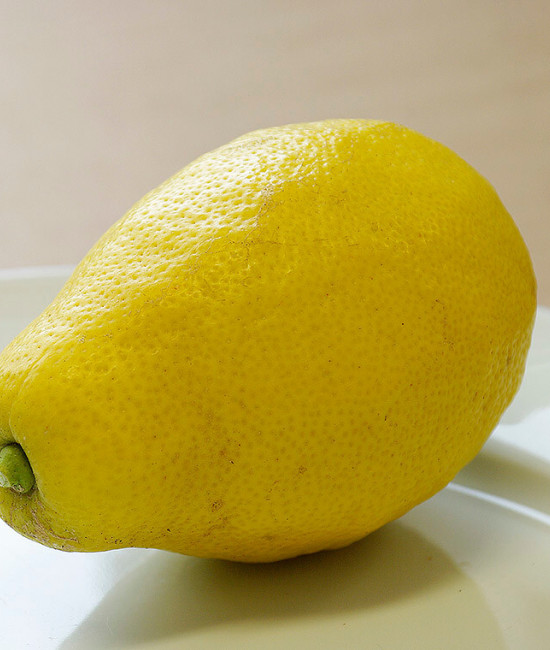 Citrus limon "ZAGARA BIANCA" (L.)