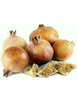 Babylonian White Pomegranate